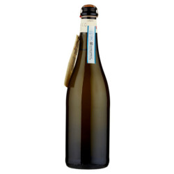 PROSECCO DOC - FIOCCO DI VITE - 75 CL