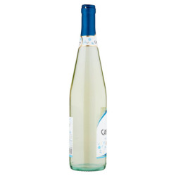 RIUNITE CANTERINO FRIZZANTE SECCO RUBICONE IGT 75 CL