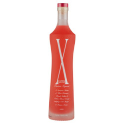 LIQUEUR FUSION X-RATED 100 CL