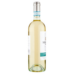 MODELLO MASI PINOT GRIGIO DELLE VENEZIE DOC 750 ML