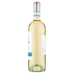 MASI MODÈLE PINOT GRIGIO DELLE VENEZIE DOC 750 ML