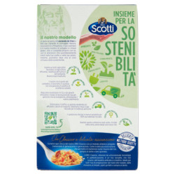 SCOTTI ORO ARROZ CLÁSICO 1 KG