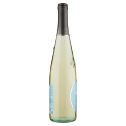 CANTINE MASCHIO PINOT BIANCO VENETO IGT SEKT 75 CL