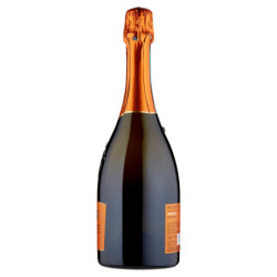 CANTINE MASCHIO PROSECCO DOC TREVISO EXTRA DRY 75 CL