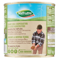 VALFRUTTA LENTICCHIE 400 G