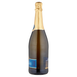 MARTINI & ROSSI VINO SPUMANTE MAGICI ISTANTI BRUT 750 ML