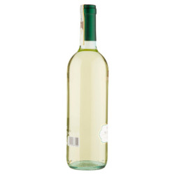 Conti Serristori Vernaccia di San Gimignano DOCG 750 ml