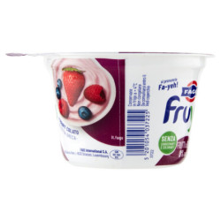 FAGE FRUYO FRUTTI DI BOSCO 0% GRASSI 150 G