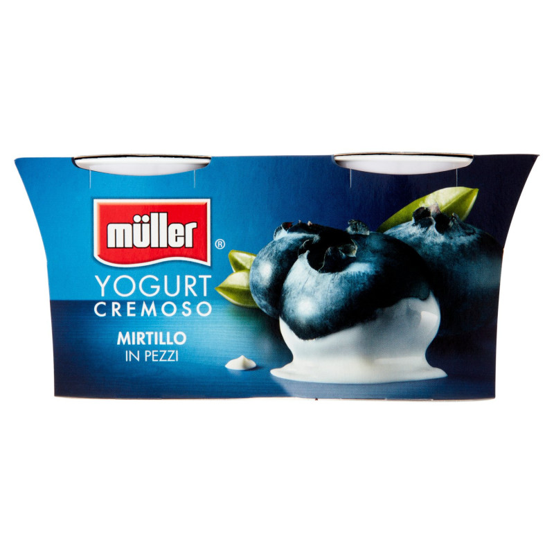 MÜLLER YOGUR CREMOSO DE ARÁNDANOS EN TROZOS 2 X 125 G