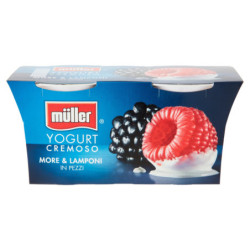 MÜLLER YOGUR CREMOSO MORAS Y FRAMBUESAS EN TROZOS 2 X 125 G