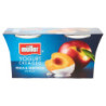 MÜLLER YOGUR CREMOSO MELOCOTÓN Y ALBARICOQUE EN TROZOS 2 X 125 G