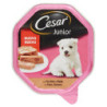 CESAR JUNIOR NASSFUTTER FÜR HUNDE IM TABLETT MIT ZARTEM Truthahn und Kalbfleisch 150 G