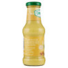 ENTWICKLUNG CURRYSAUCE 250 ML