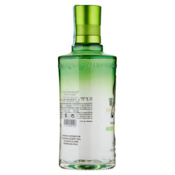 G'VINE FLORAISON 700 ML