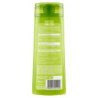 GARNIER SHAMPOO FRUCTIS ANTIFORFORA, PER CAPELLI NORMALI, 250 ML