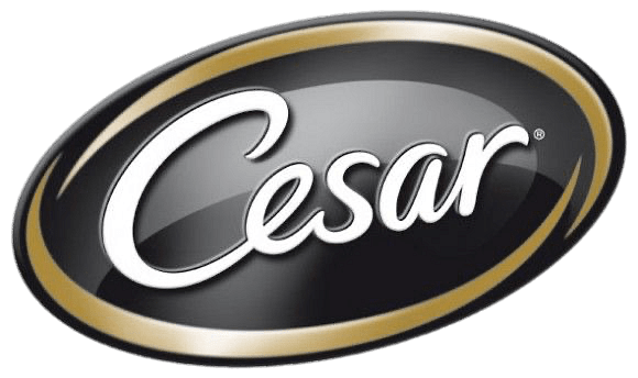 Cesar