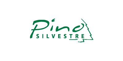 Pino Silvestre