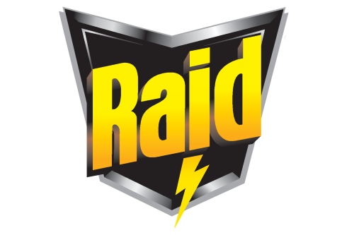 Raid